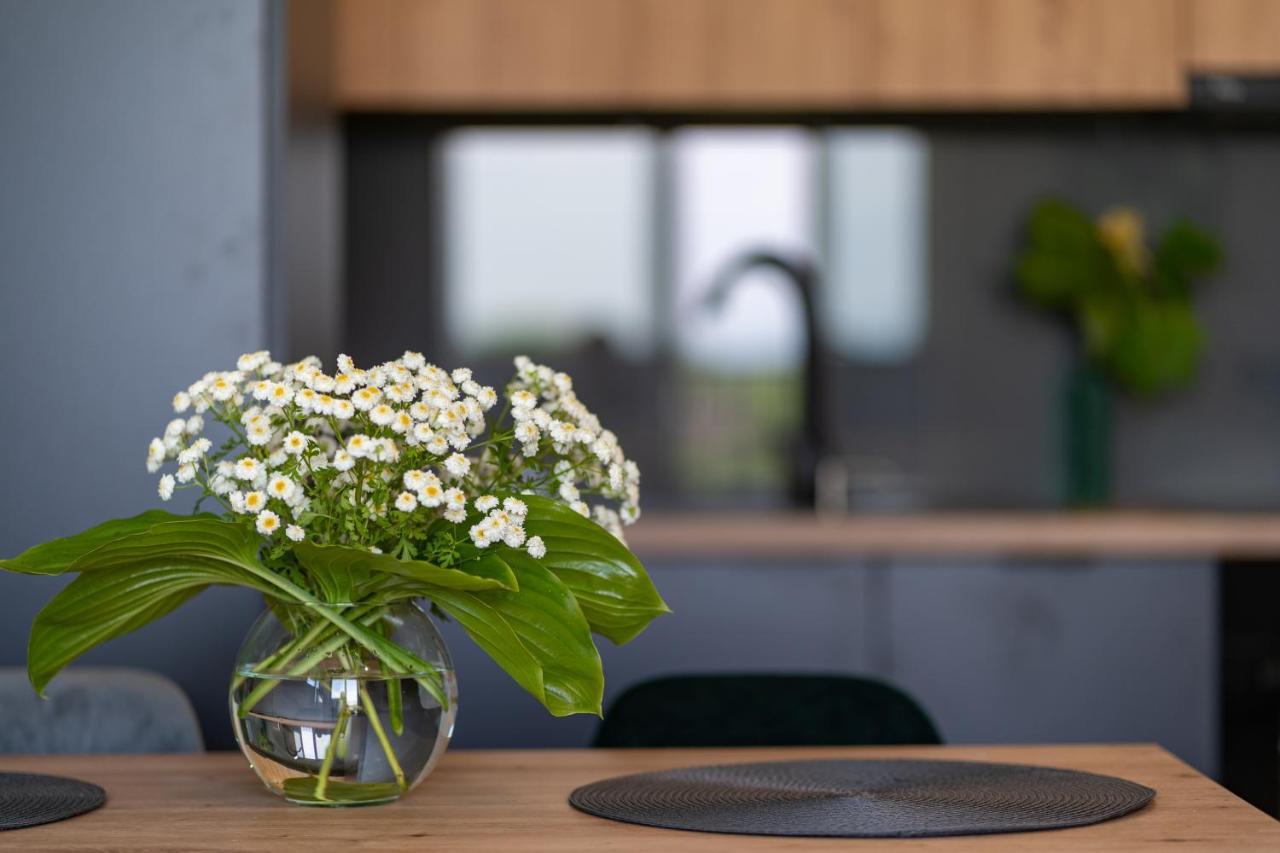 Apartament No 34 Green - Holiday Home זאטור מראה חיצוני תמונה